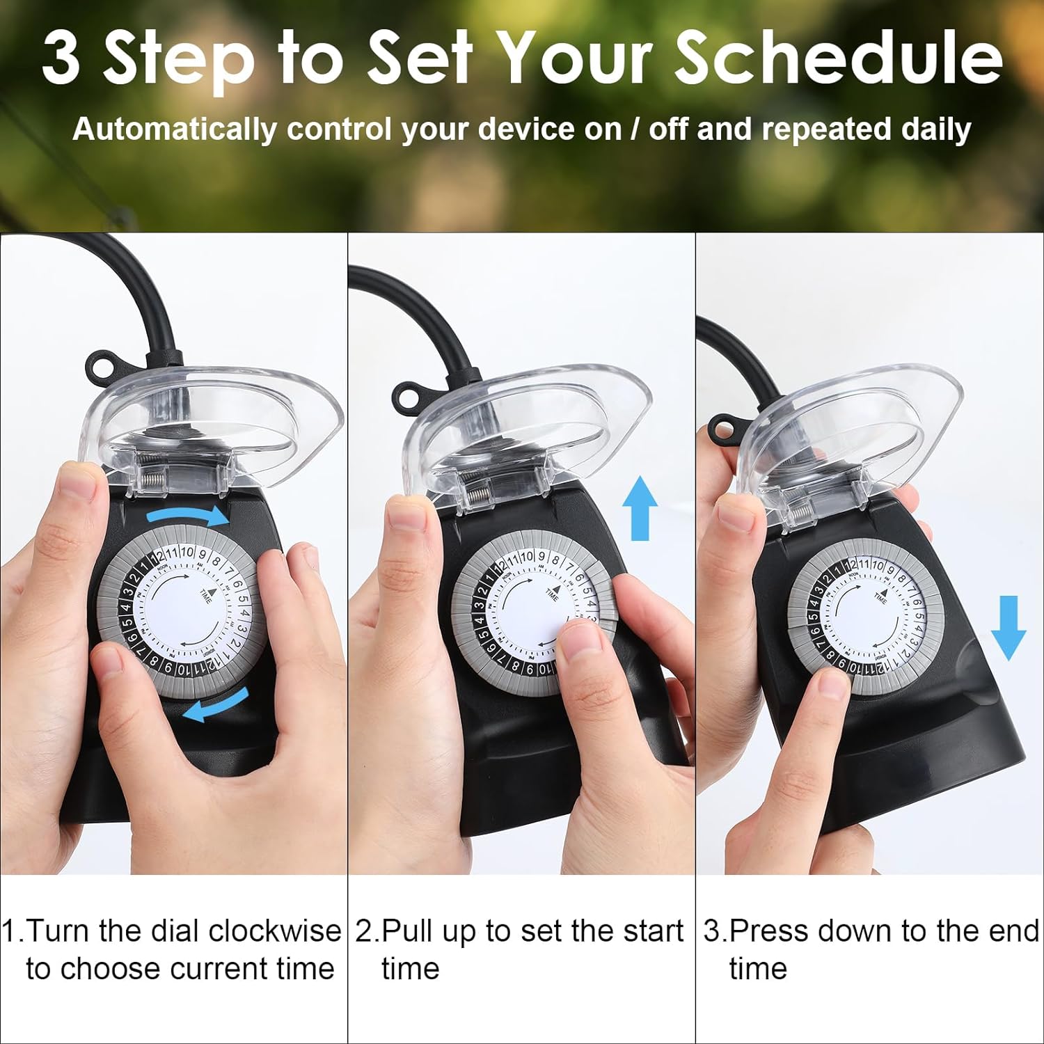 Upgrade Bird Bath Heater for Outdoors in Winter, Thermostatically Controlled, No Water Scale Formation