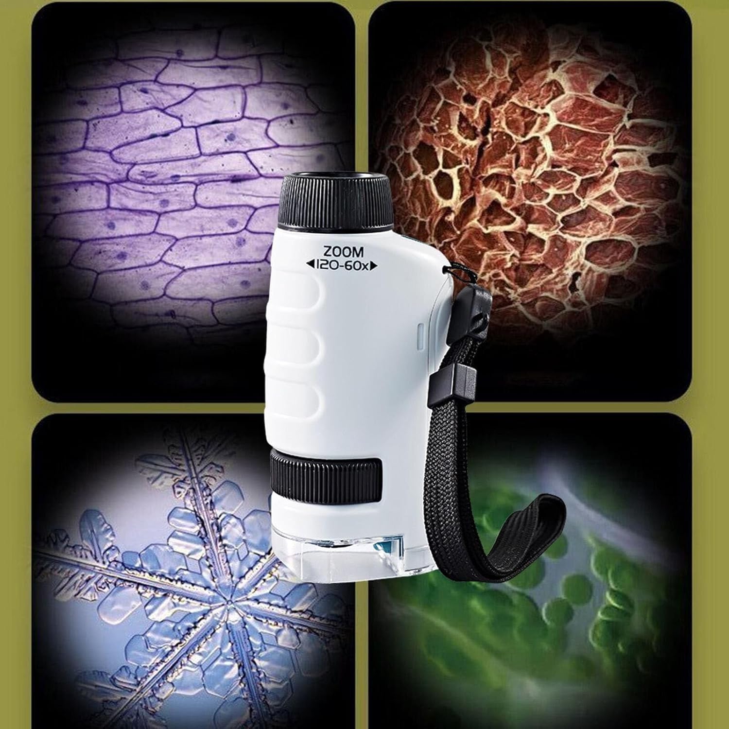 🔥 49% Off - Kid's Portable Pocket Microscope - Free 12 Specimens