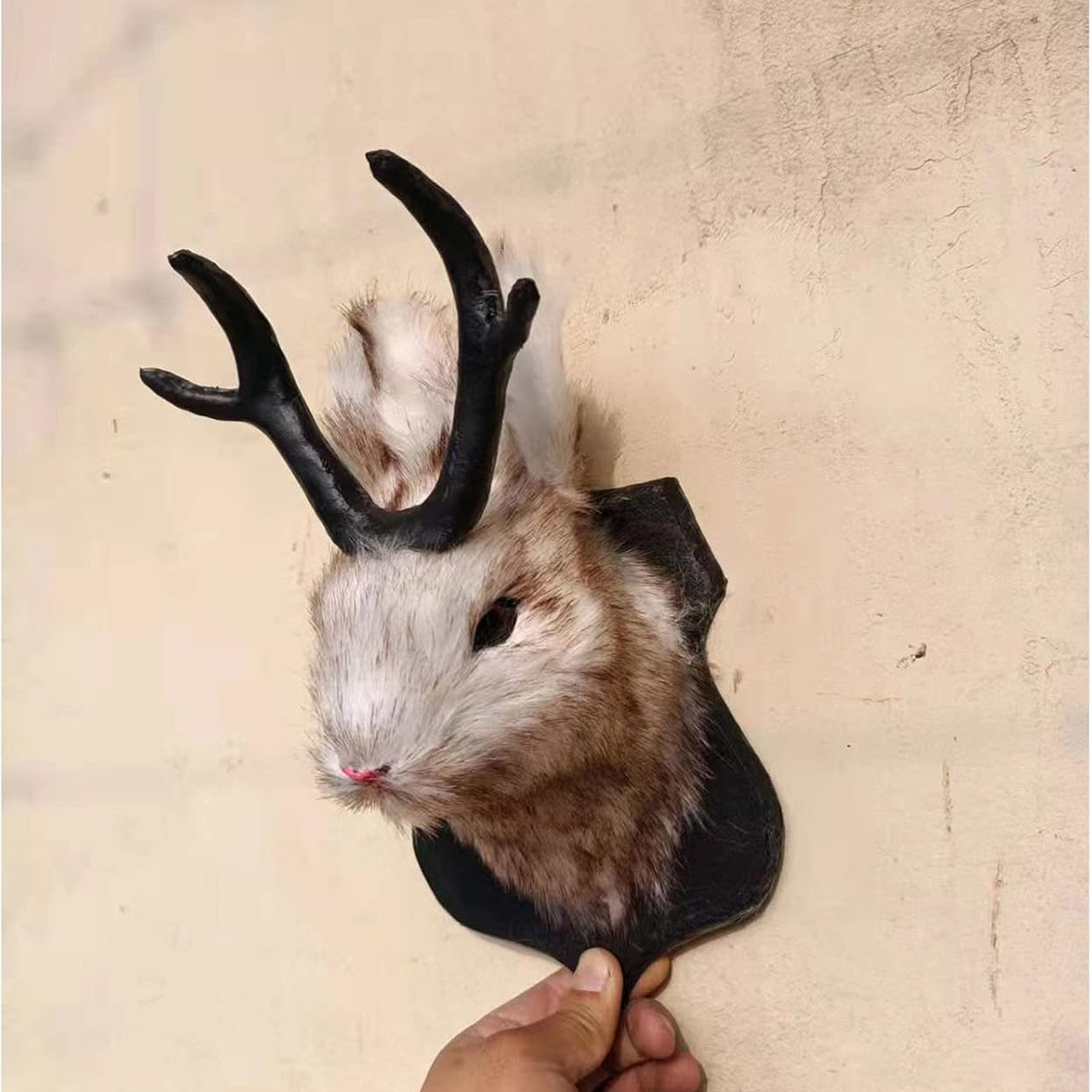 Animal Rabbit Antlers Wall Decor