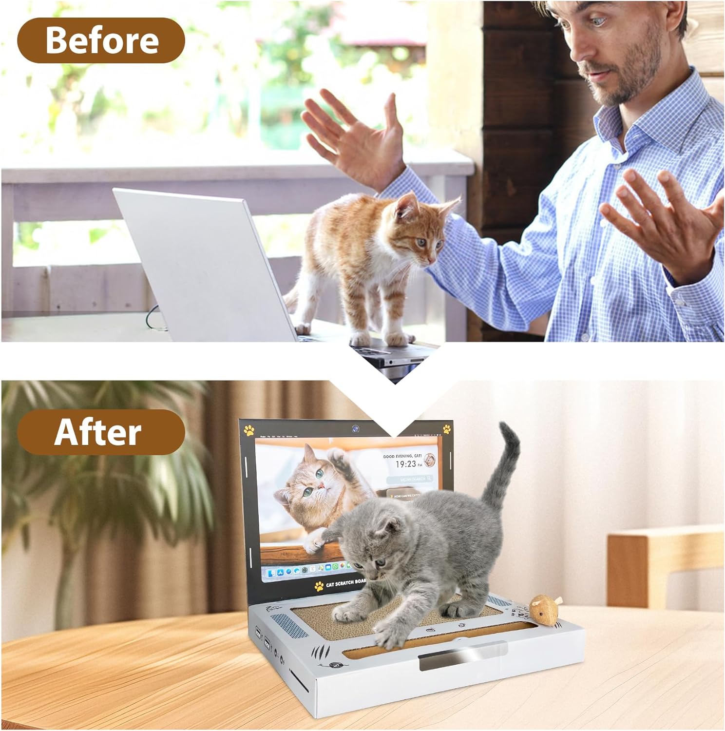 3-in-1 Cat Scratcher