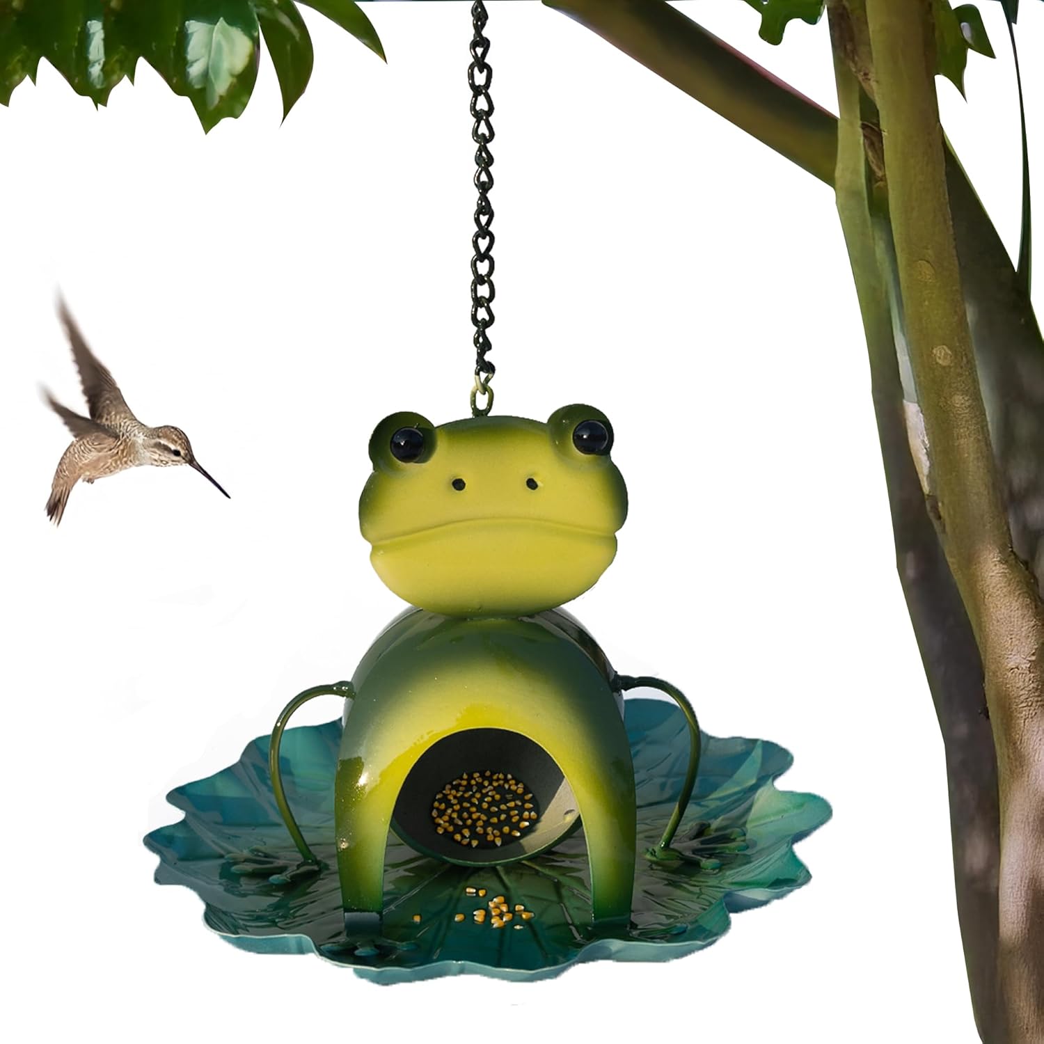 Frog Pond Bird Feeder – Eco-Friendly Bird Buffet for Backyard Bliss!