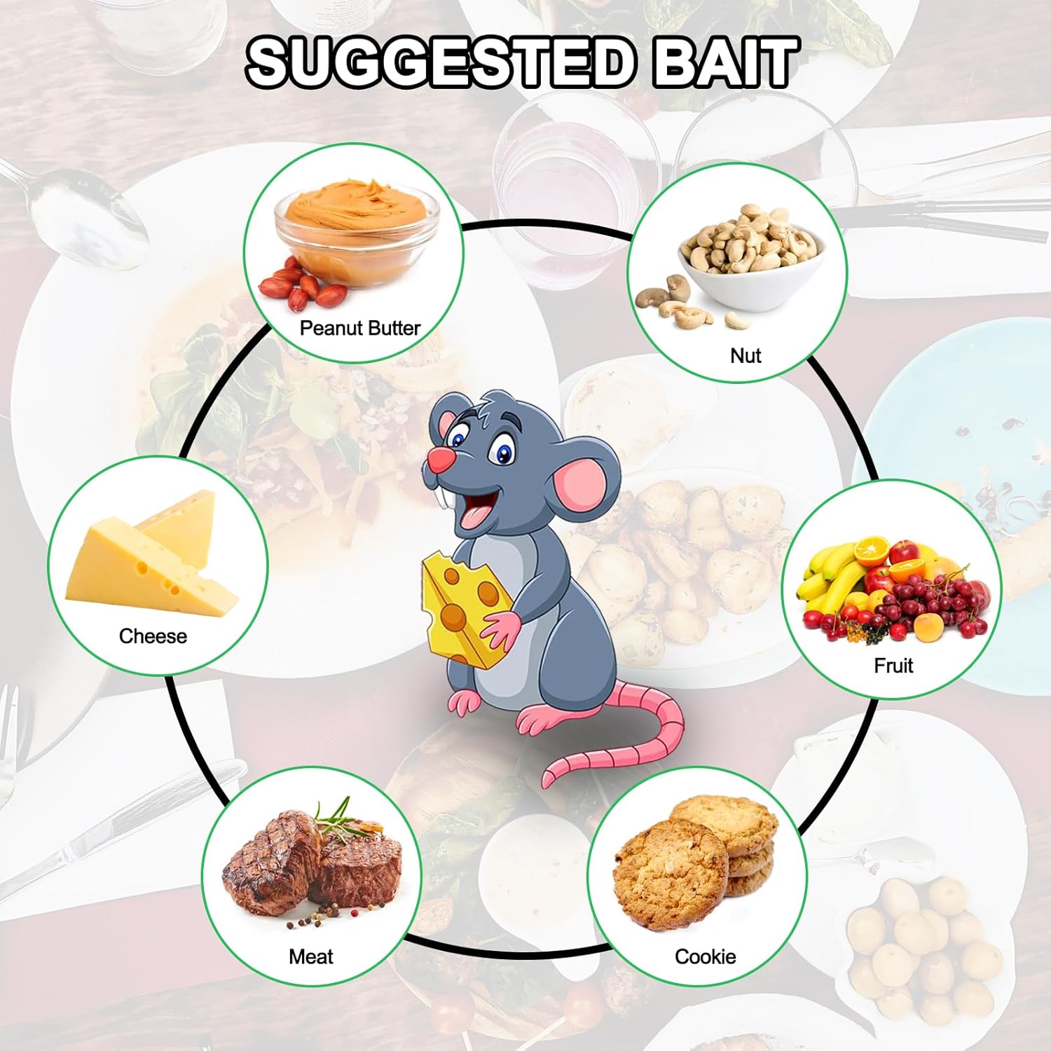 4Pcs Reusable humane mouse trap