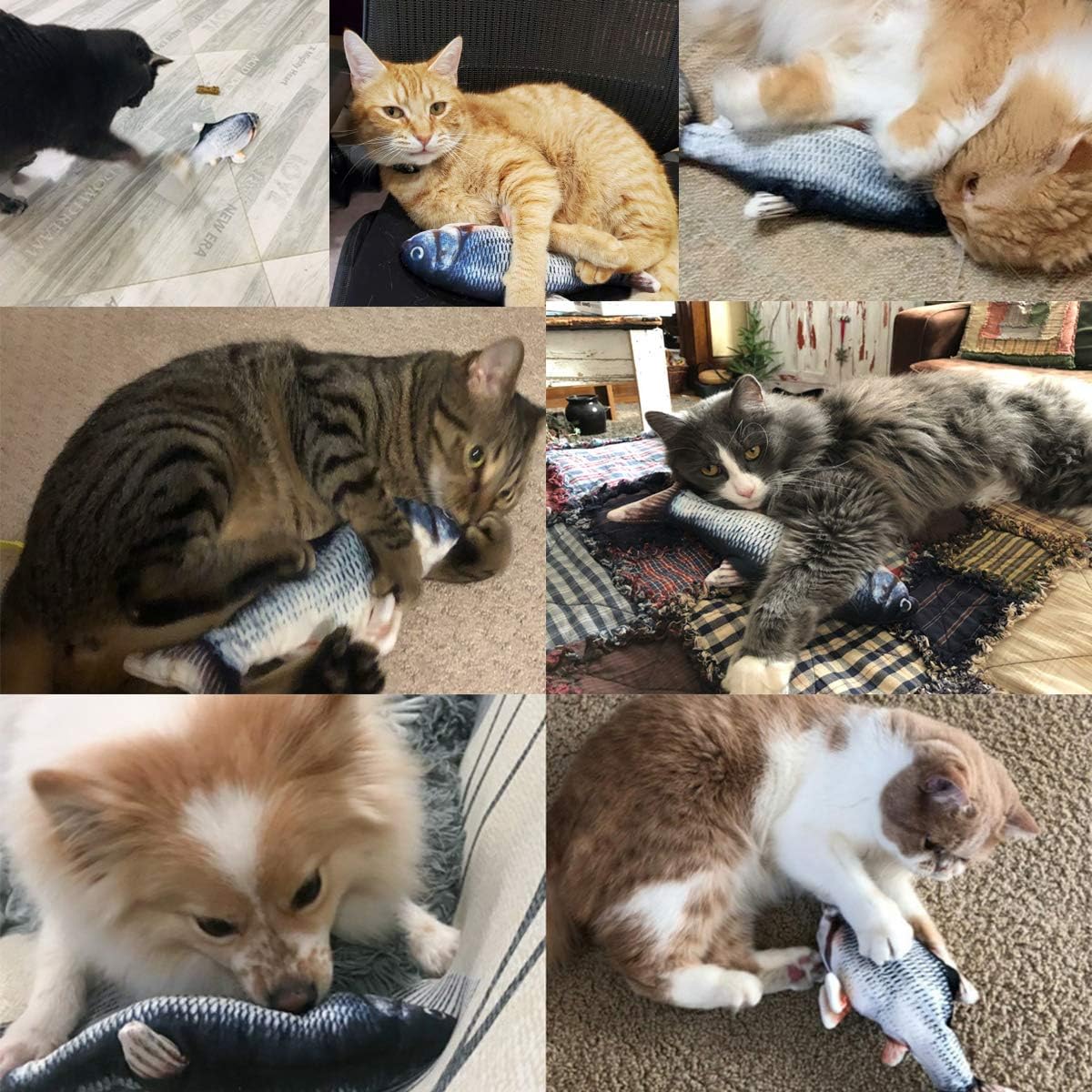 🐱🐟 Flopping Fish Cat Toy