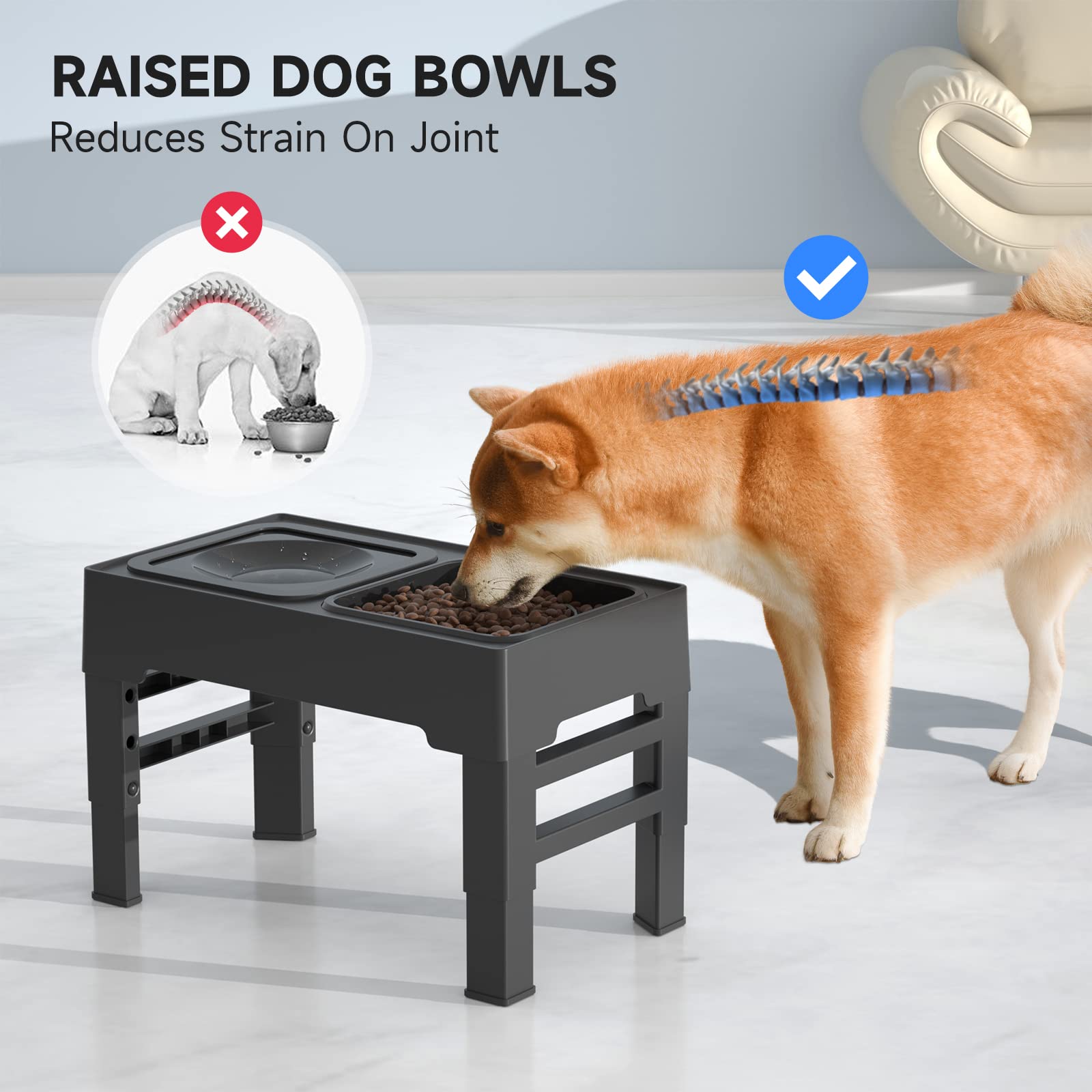 Elevated Slow Feeder Dog Bowl