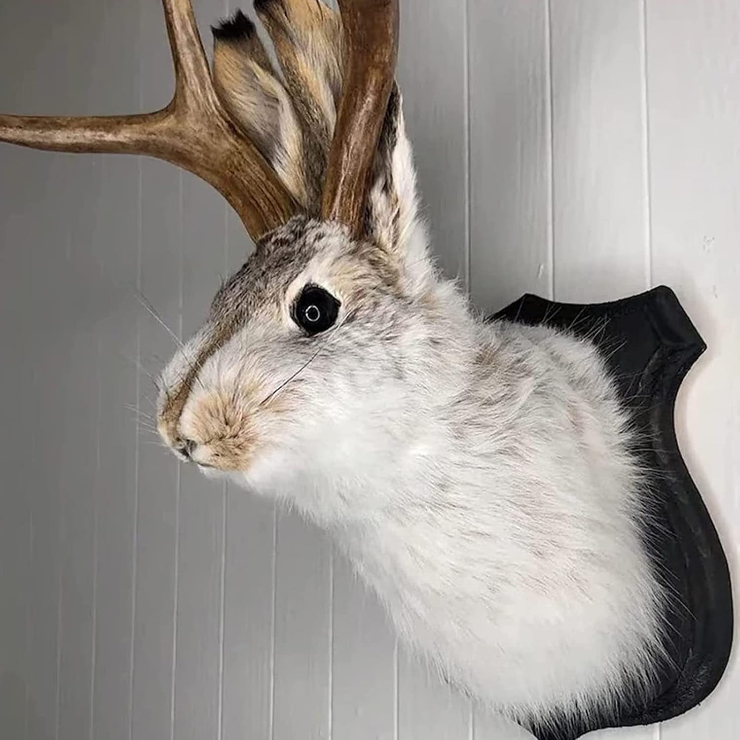 Animal Rabbit Antlers Wall Decor