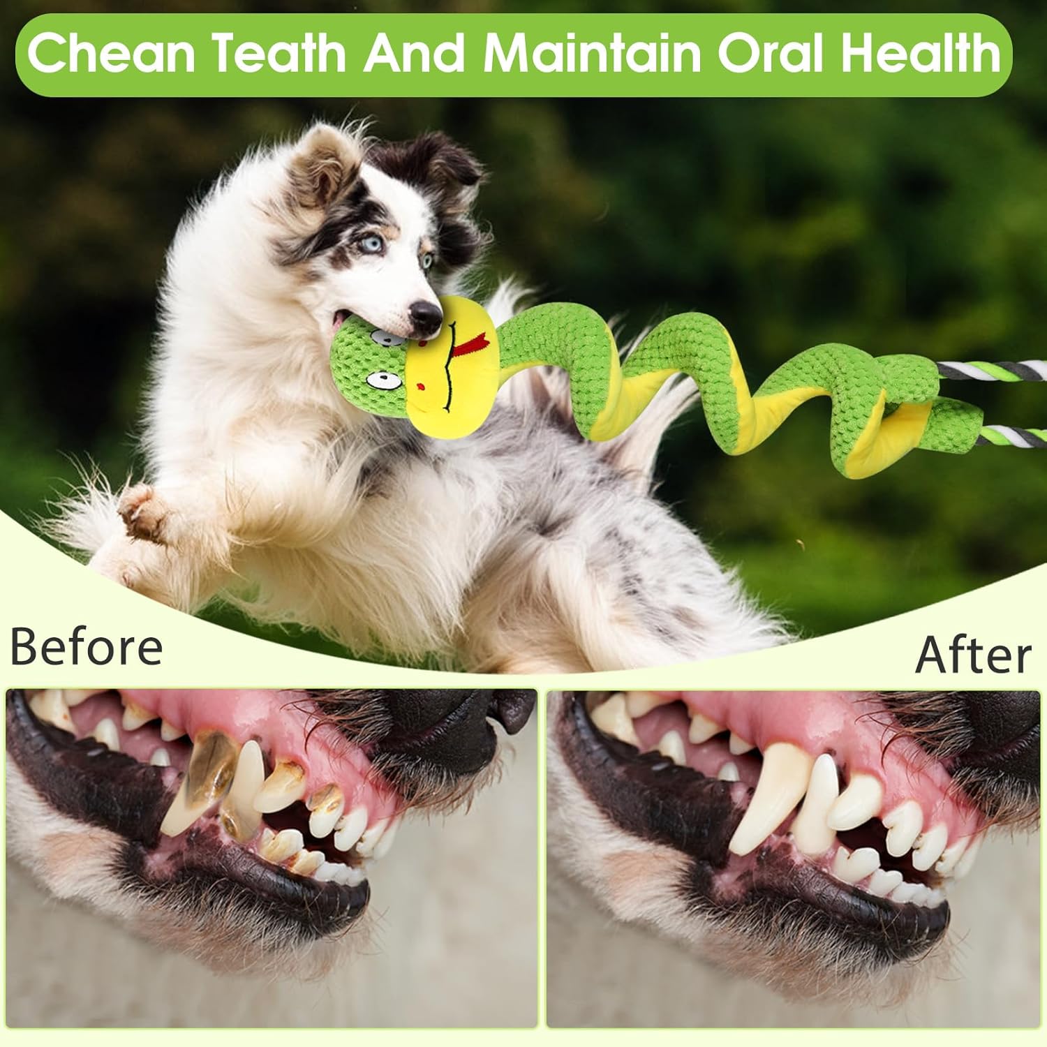 🐾Ultimate Chew-Proof Rope Toy with Squeaker & Crinkle Paper | Spiral Design Protects Teeth + Anxiety Relief for Tough Chewers 💖