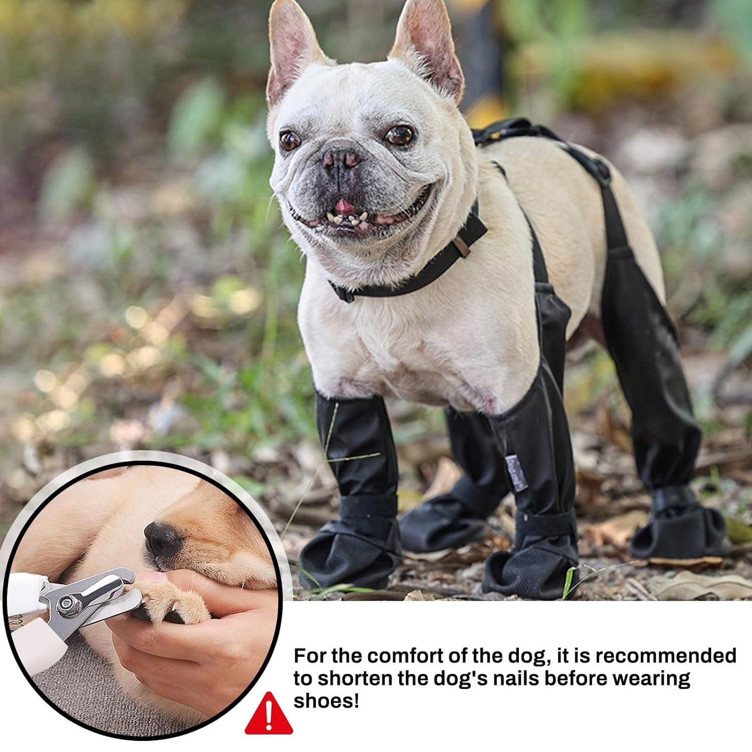 ❤️Anti-Shedding Dog Paw Protectors Shoes for Hot Pavement