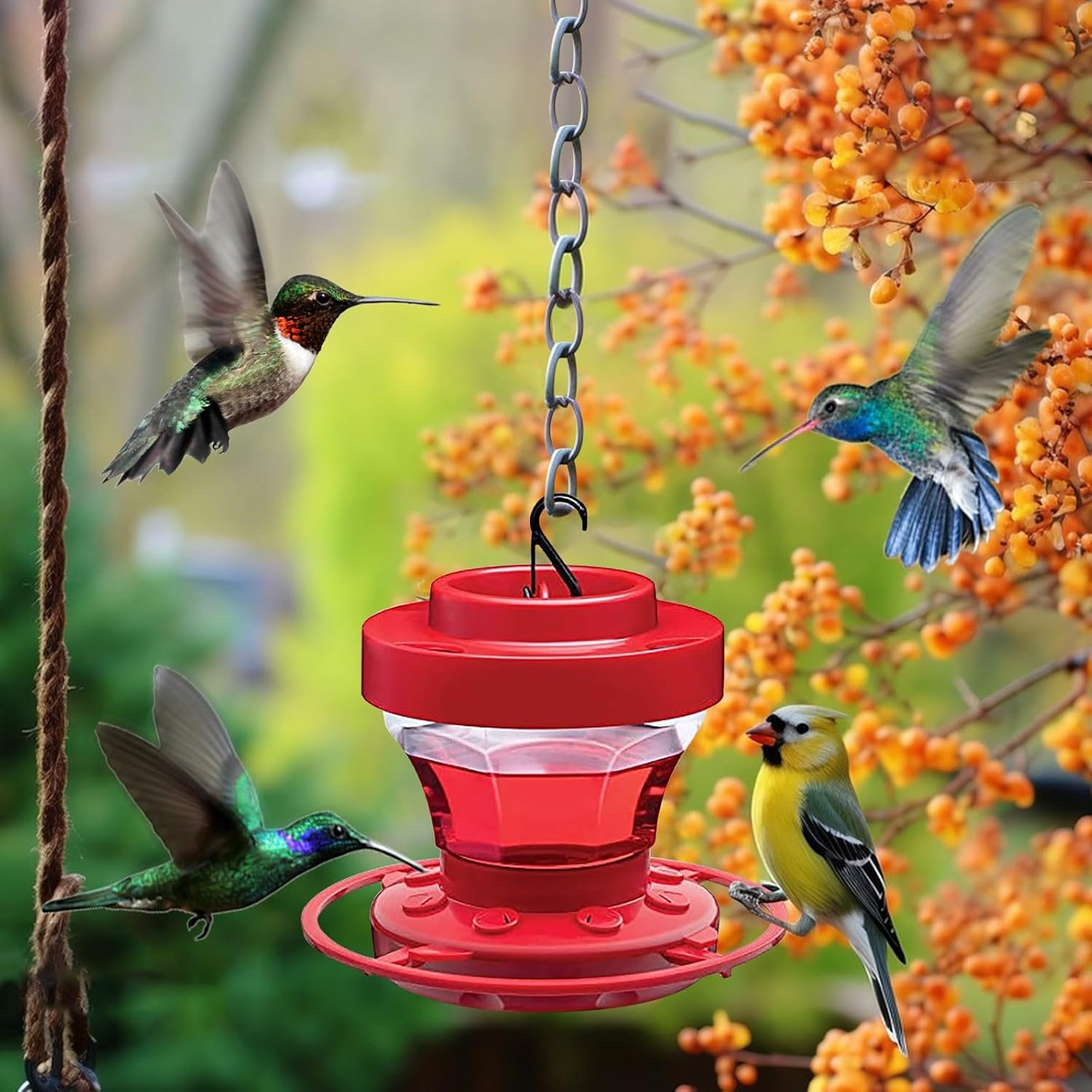 Transparent Hummingbird Feeder for Garden