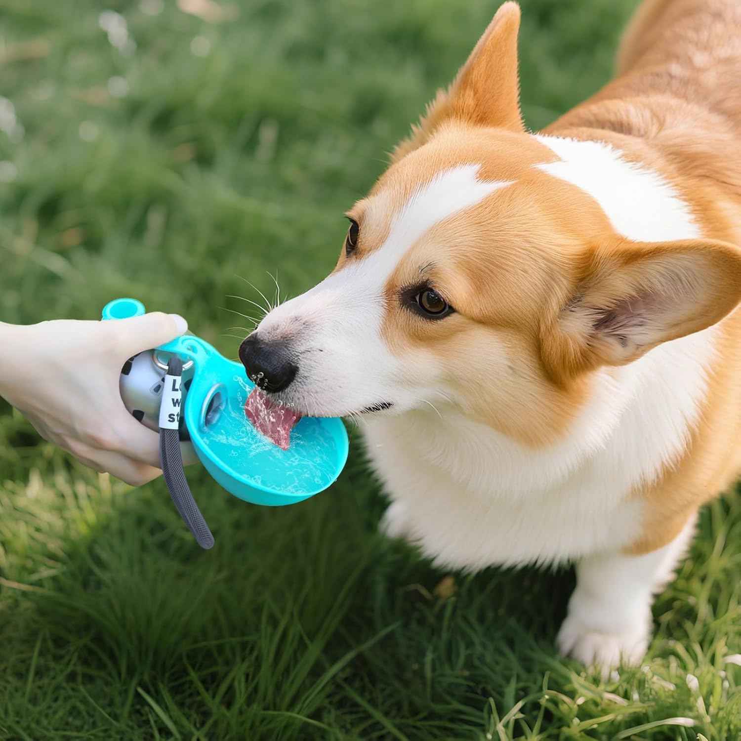Petsume™ Elite Stainless Steel Portable Dog Water Bottle