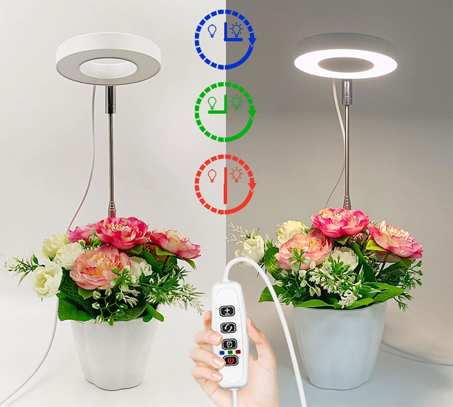 Bring The Sun's Growth Energy Home (40% OFF TODAY)