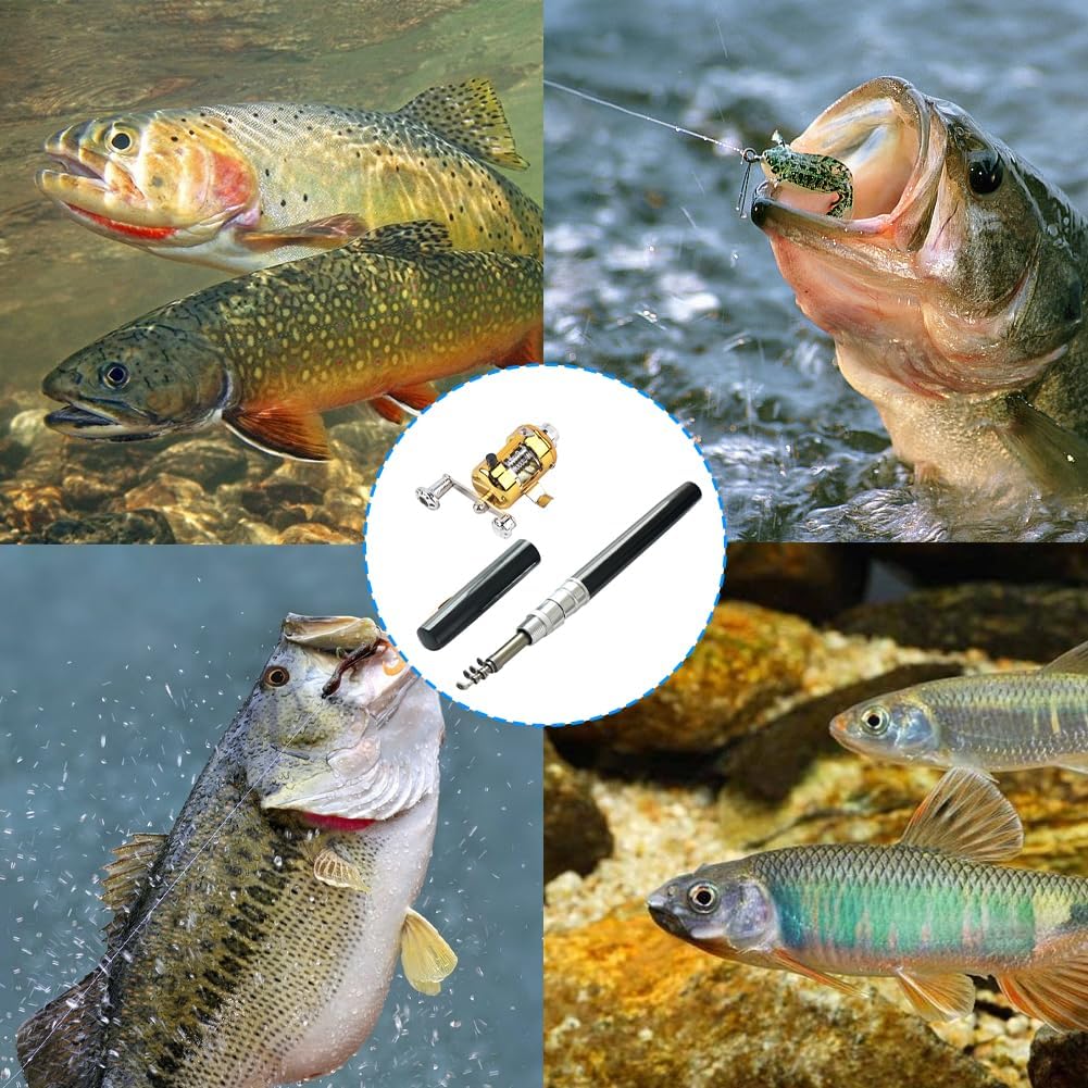 🔥Hot Sale 49% OFF - Pocket Size Fishing Rod