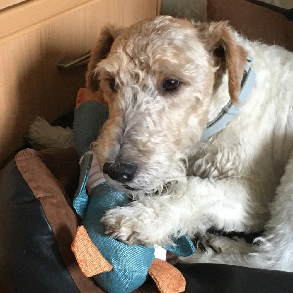 imgi_66_S8f9cee1499c54561b221fa9e52f600ccx.png__PID:5229a1d4-f12f-44eb-b782-f711f80caff8