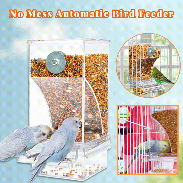 No Mess Automatic Bird Feeder