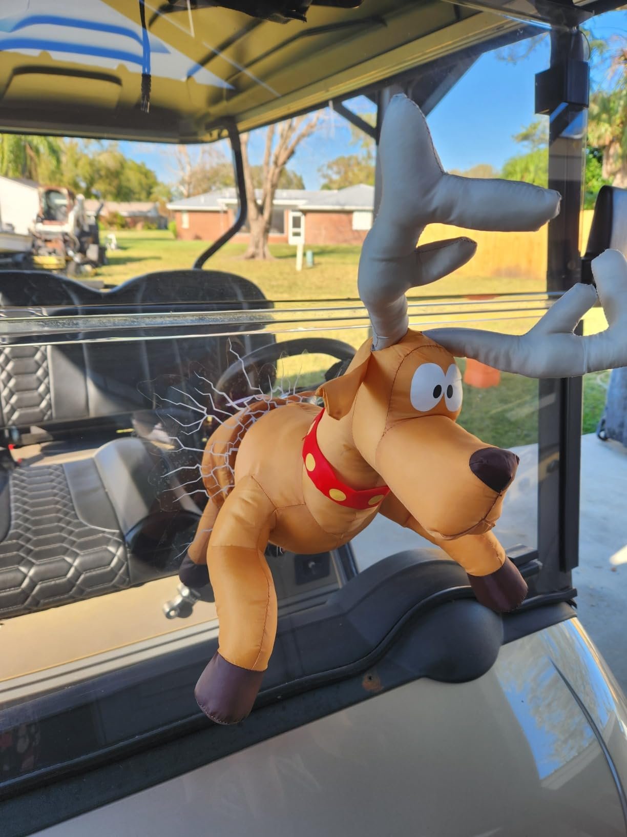 Cute through window deer.