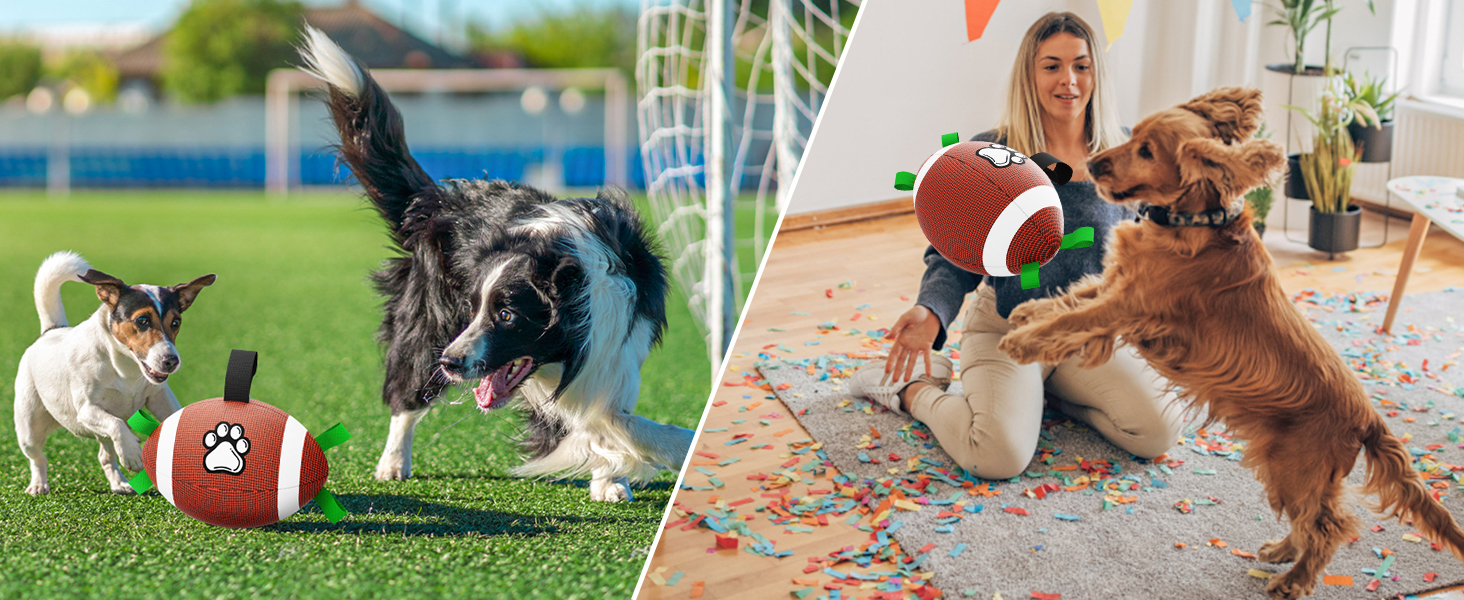 Dog Football Toy
