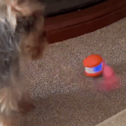 Petsboro™---Keep Your Pet Relaxed, Happy & Content for Cat🐱 & Dog🐶