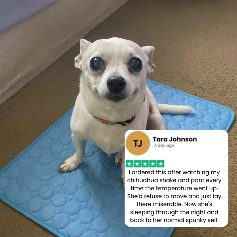Petsume™ DreamPaws CoolBreath Mat