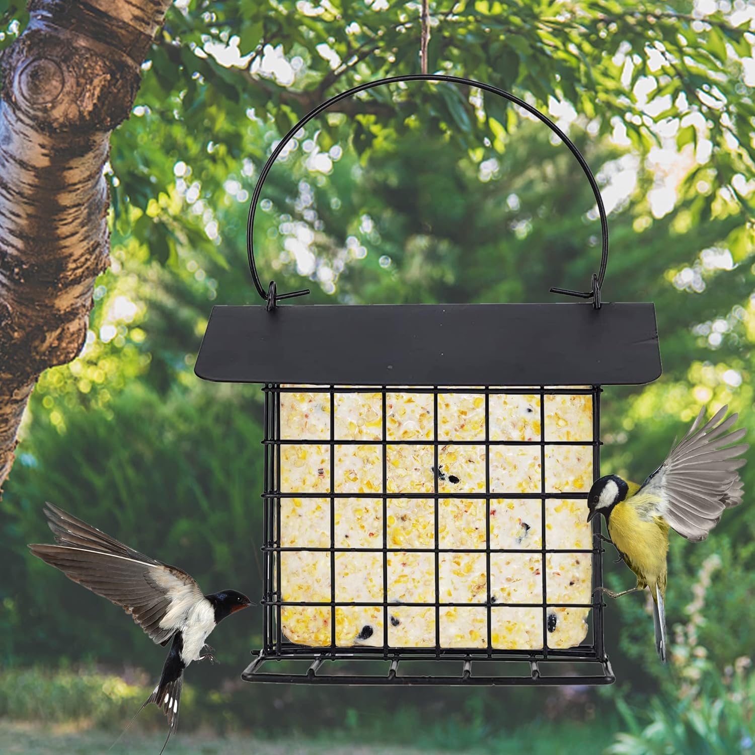 Hanging Suet Holder Cage Cake Bird Feeder for Outside - Squirrel Proof & Rainproof