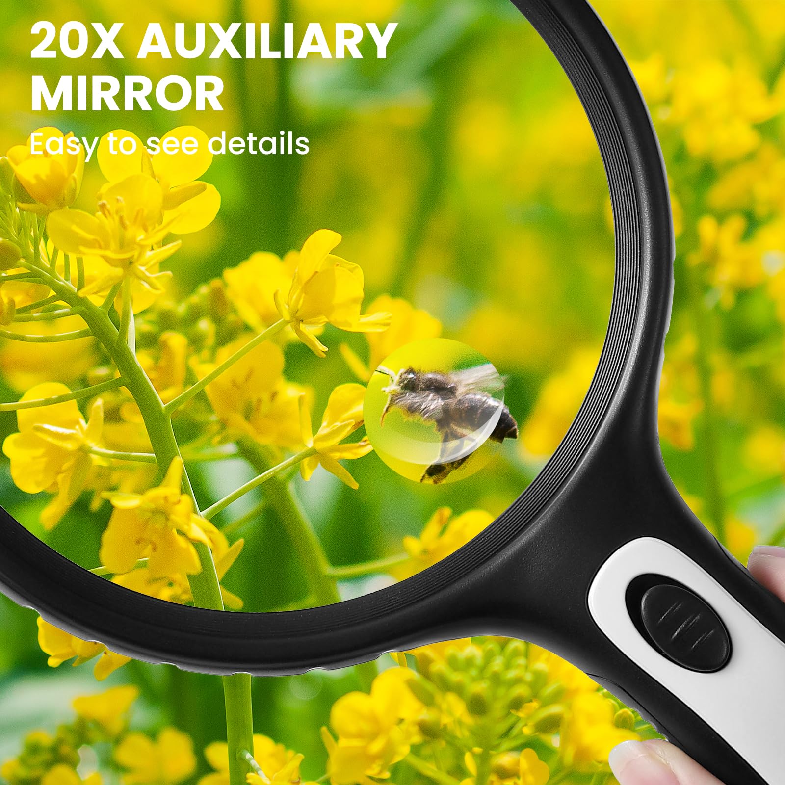 Magnifying Glass With Light