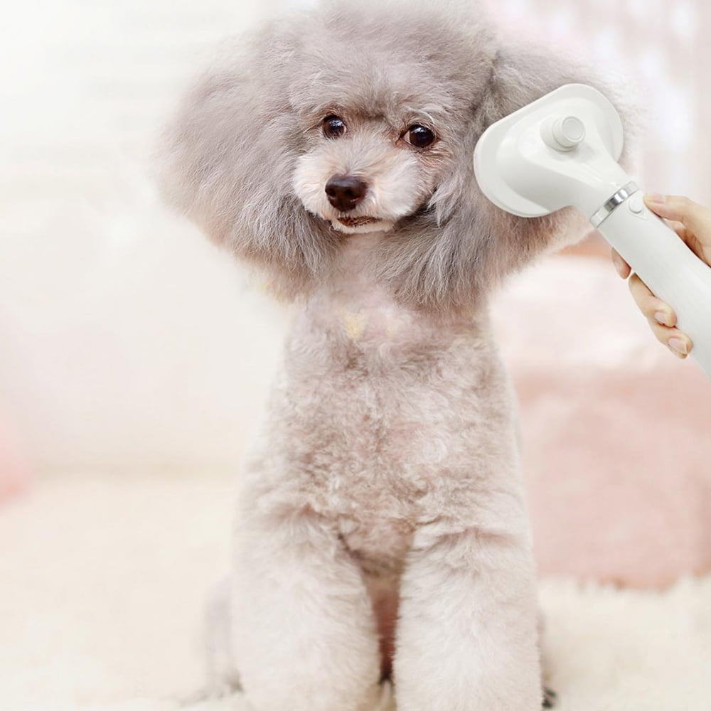 3 in 1 Pet Grooming Hair Dryer  