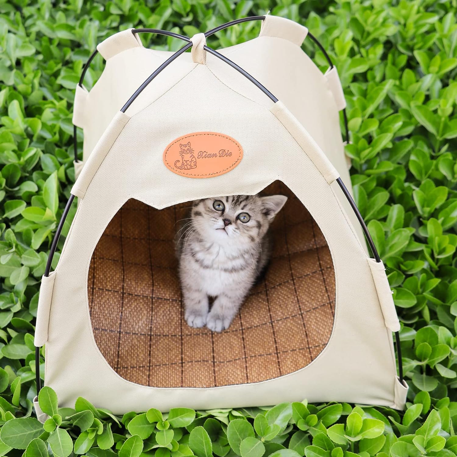 🔥49% Off Pet Essentials🥙Foldable Pet Tent