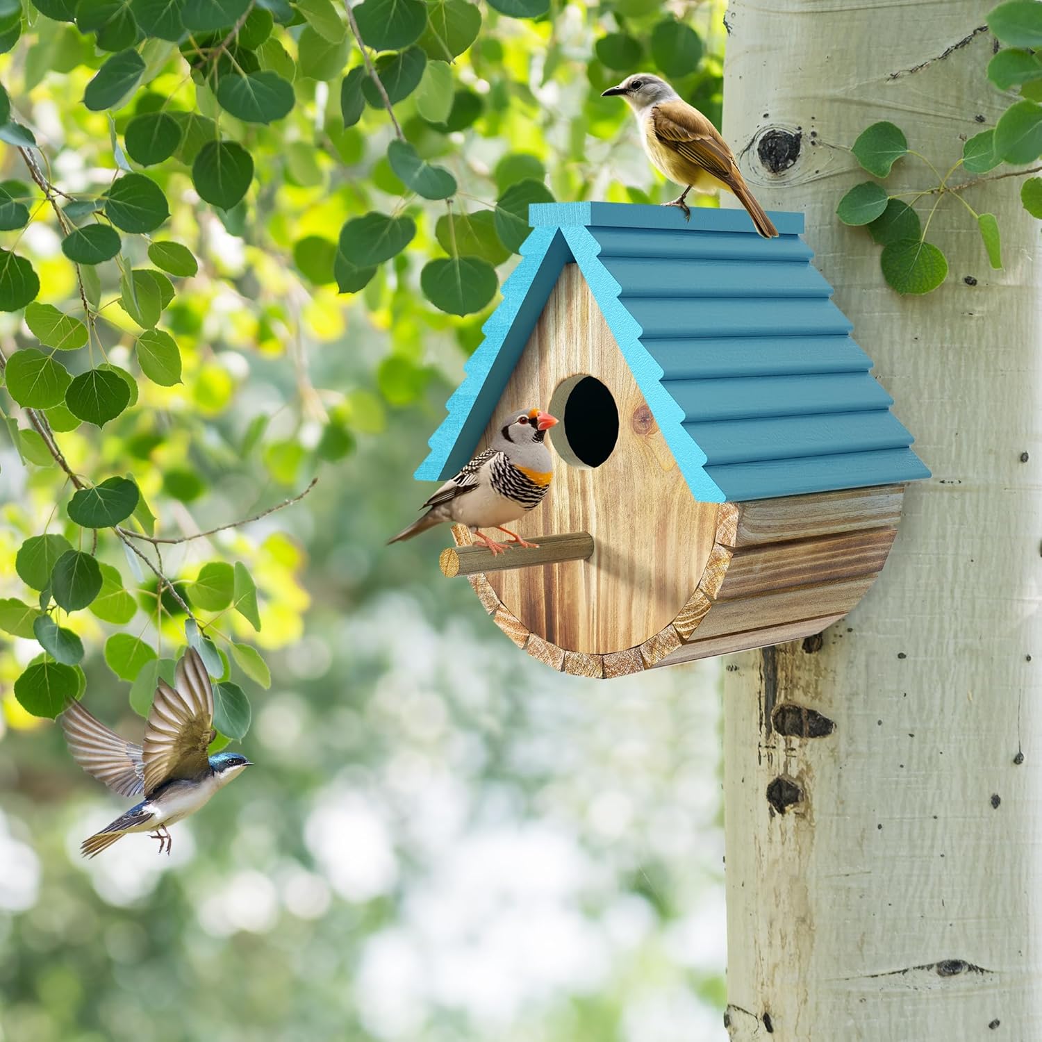 Eco-Coated Cedar Birdhouse for Small Backyard Birds