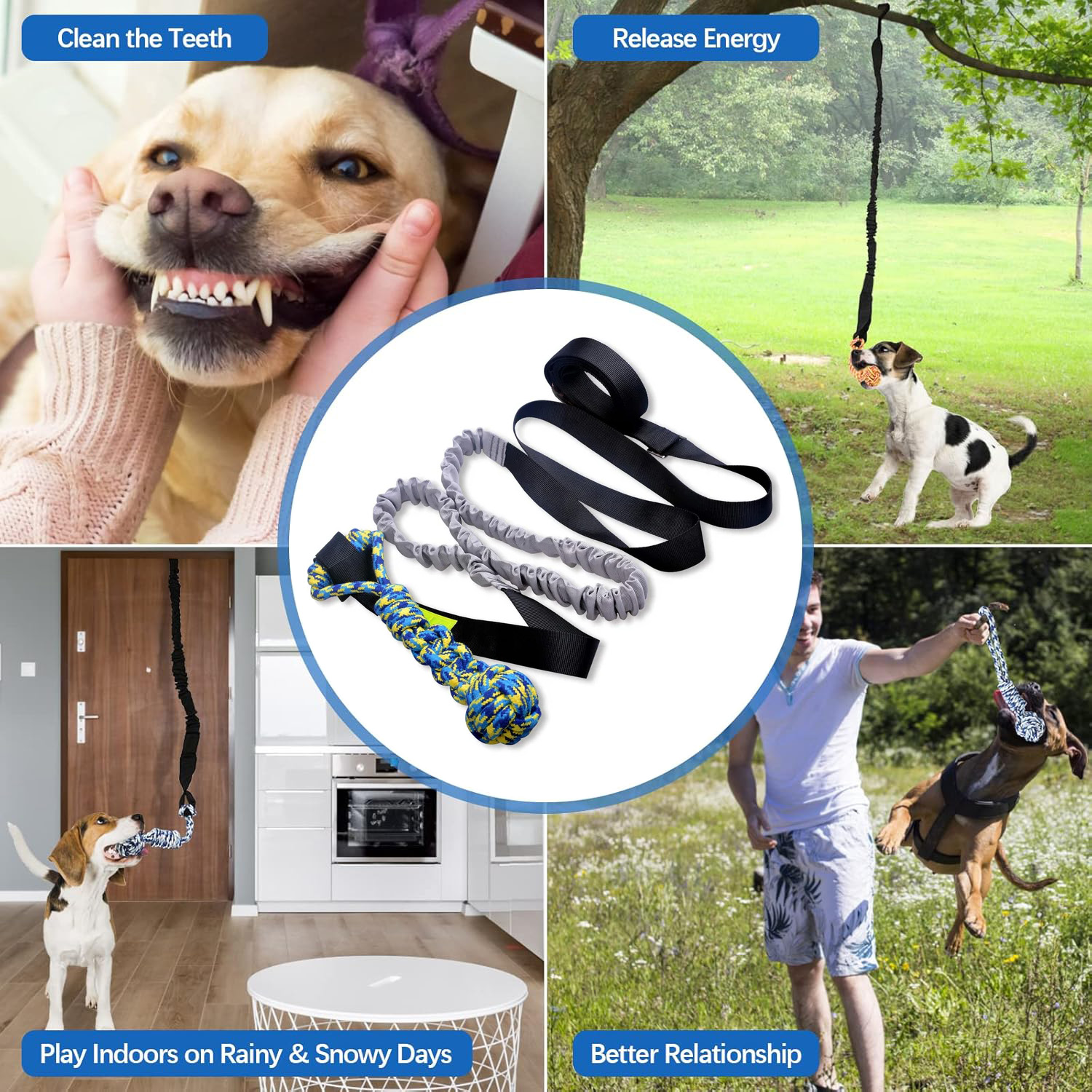 Petsboro™ - Tire Out Your Dog in Minutes