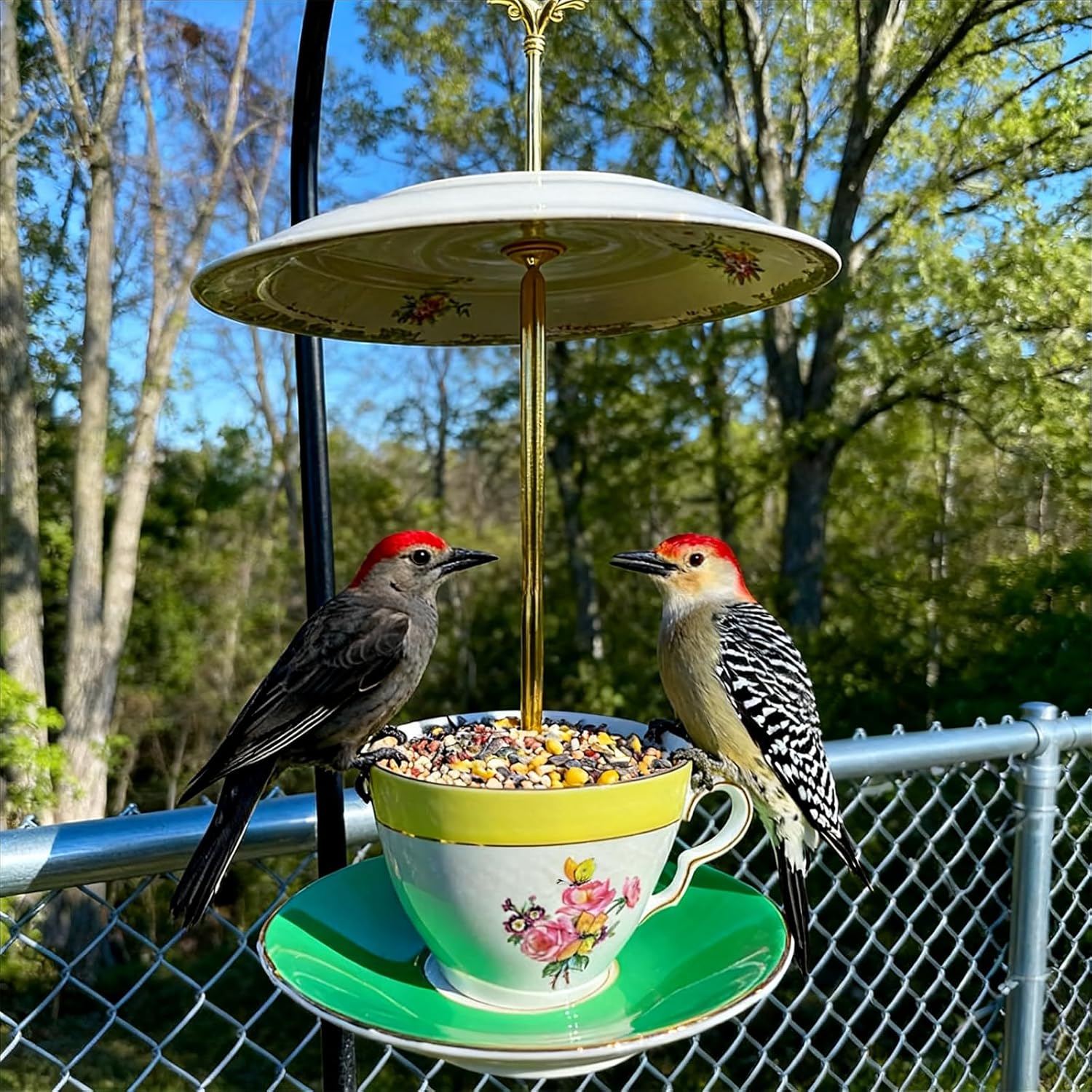 🔥LAST DAY 50% OFF - 🐦Bird Tea Party:  Ceramic Teacup Birdfeeder