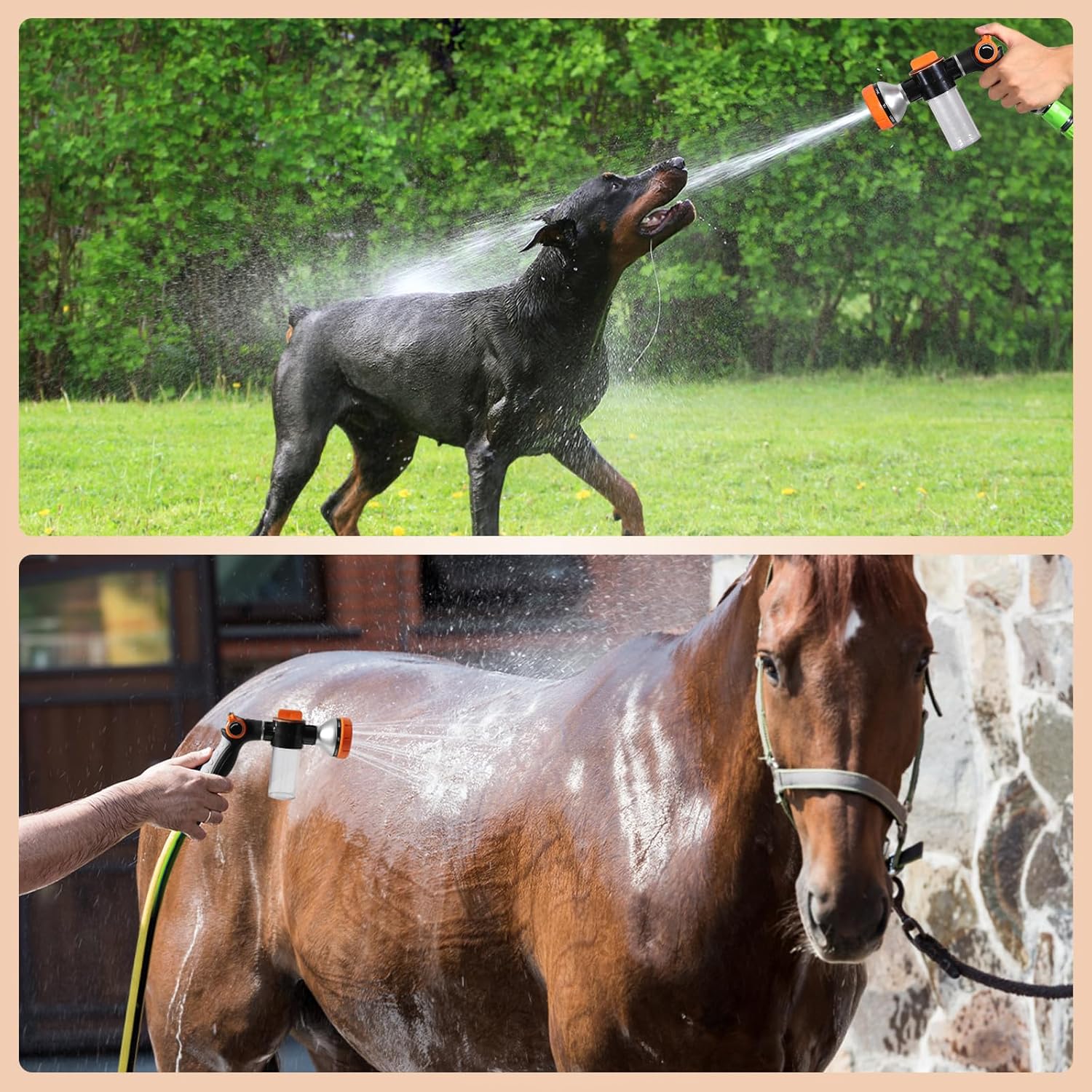 🐕High Pressure pup jet dog wash Garden carwash