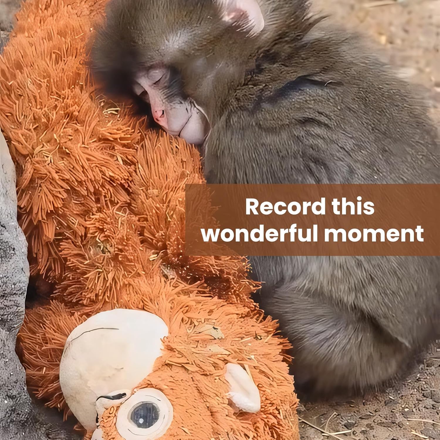 Punch the Monkey Plush Toy