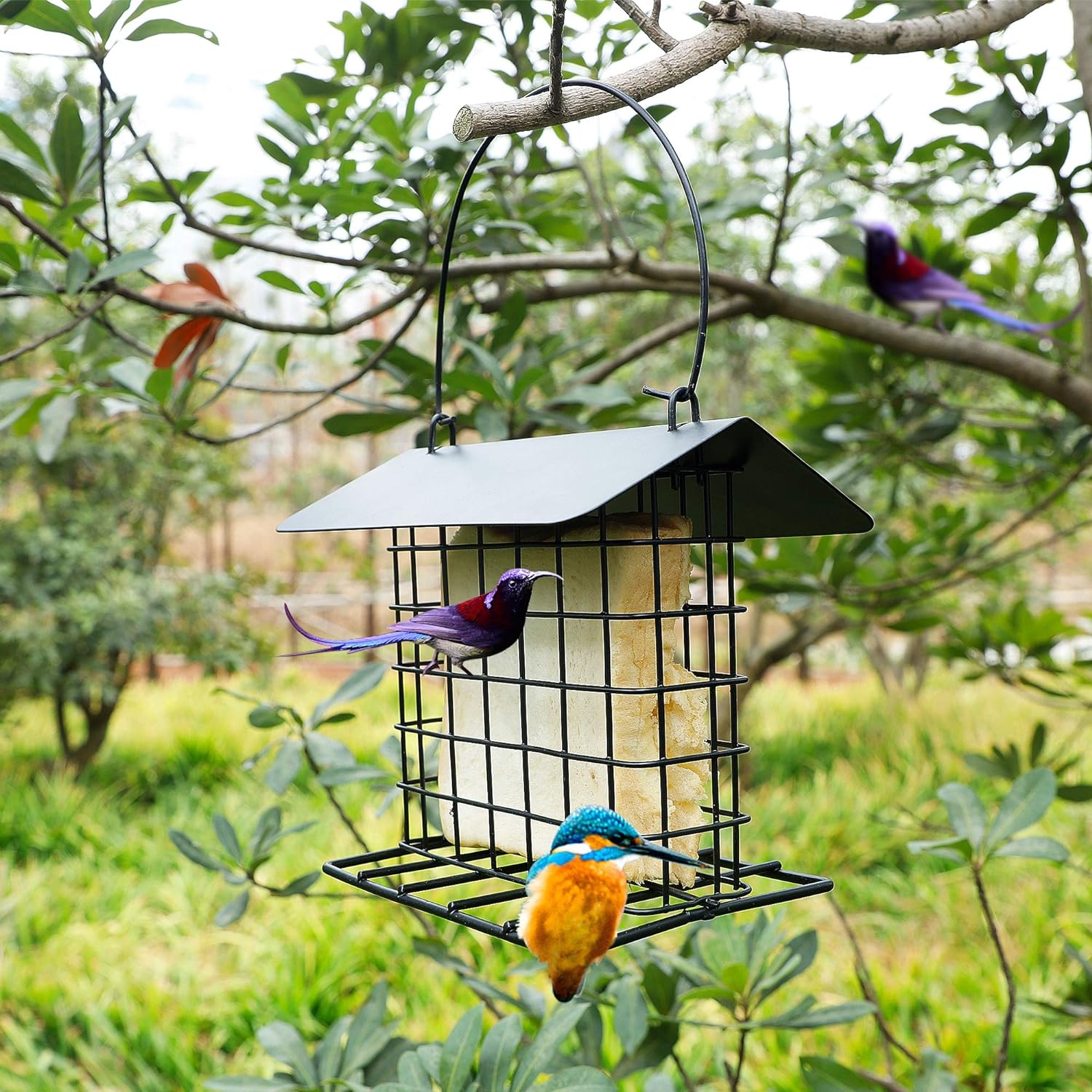 Hanging Suet Holder Cage Cake Bird Feeder for Outside - Squirrel Proof & Rainproof