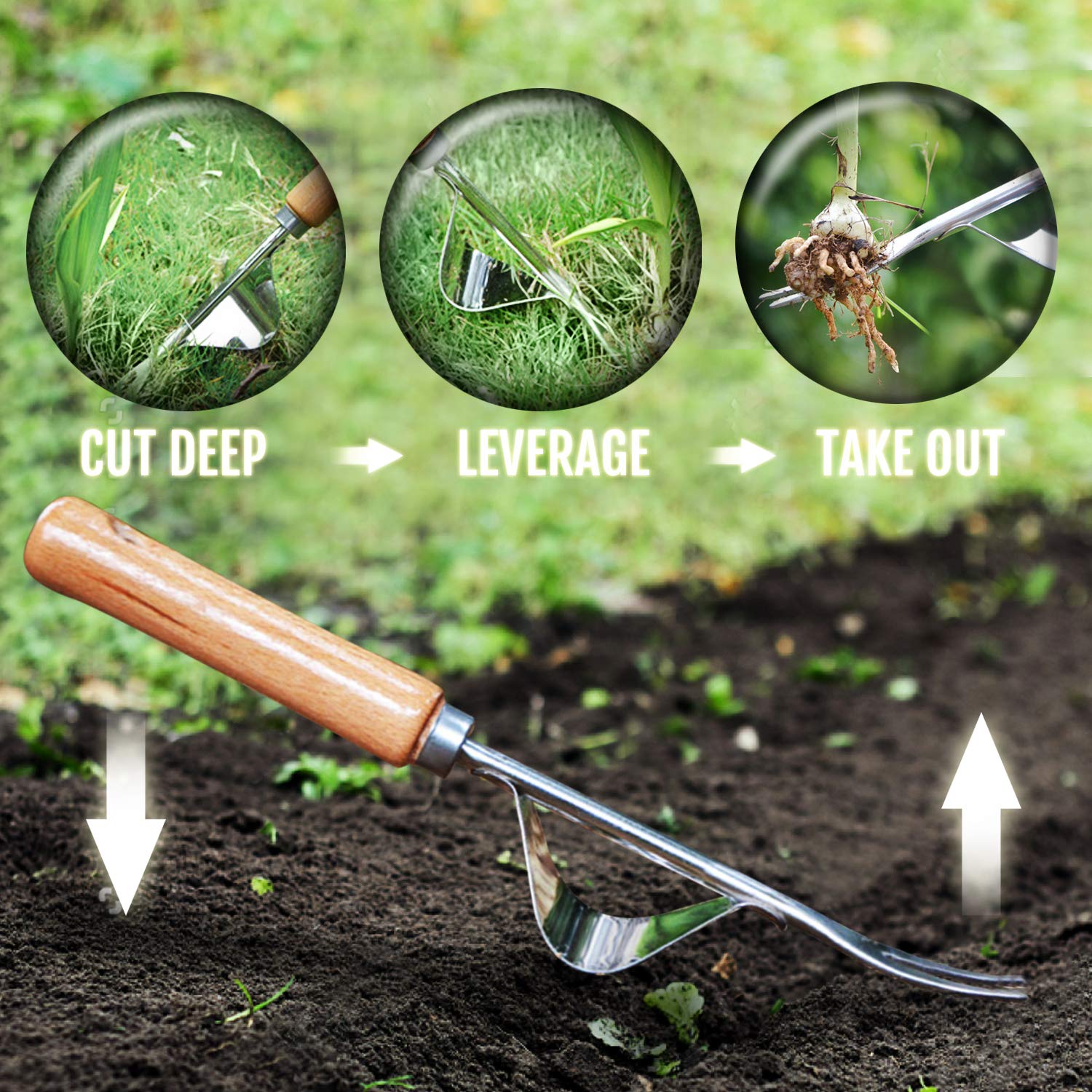 Stainless Steel Weed Remover
