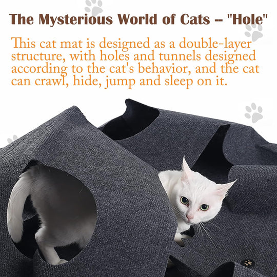 Fun Interactive Pet Activity Play Rug