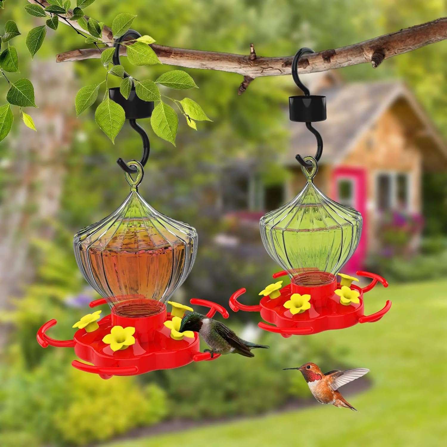 Ant And Bee Proof Outdoor Hummingbird Feeder