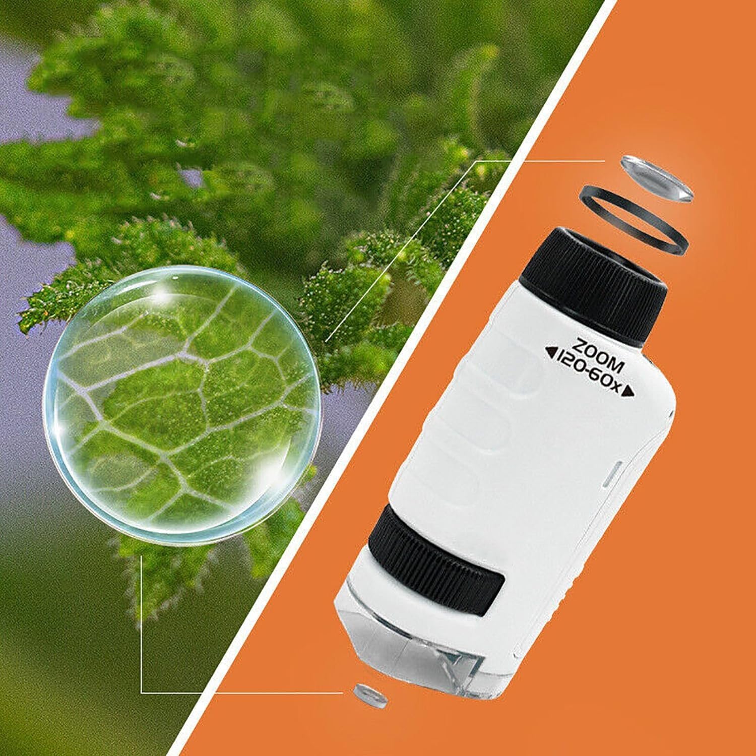 🔥 49% Off - Kid's Portable Pocket Microscope - Free 12 Specimens