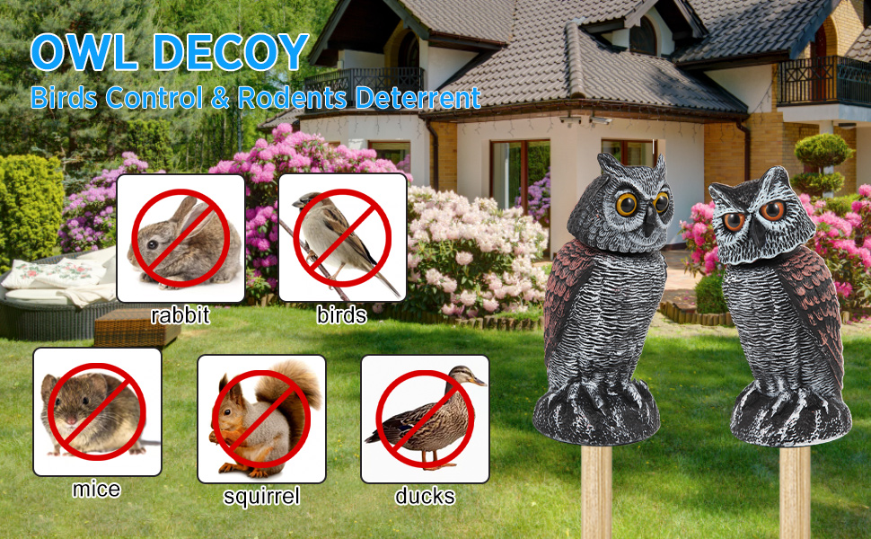 owl decoy  to scare birds away