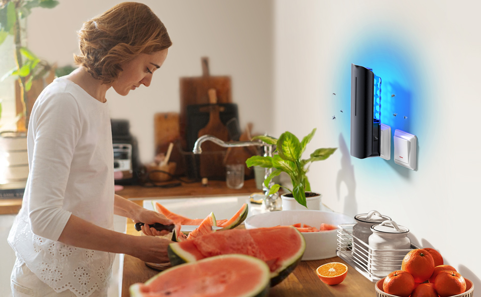 fly trap no chemicals