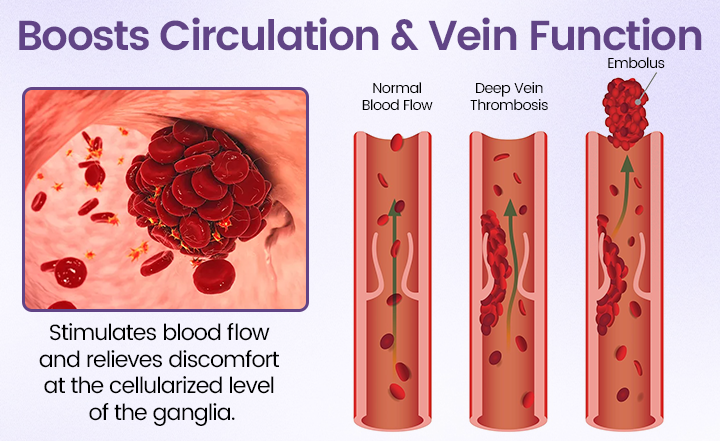 QIAWI&reg; Legs Soothing Cream