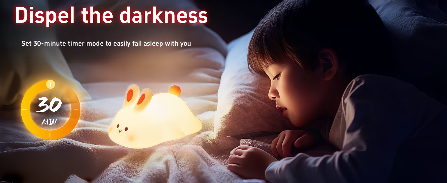 Rabbit night light