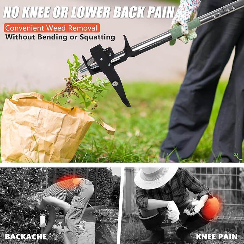 Say goodbye to sore knees and endless bending, use our stand-up weed puller, make you remove weeds effortlessly while standing tall. Ergonomic design and powerful grip, remove stubborn weed roots easily, stop its regrow, no more toxic chemical to get rid of weed, more eco-friendly. Ideal for individuals with chronic back pain and elderly gardeners.