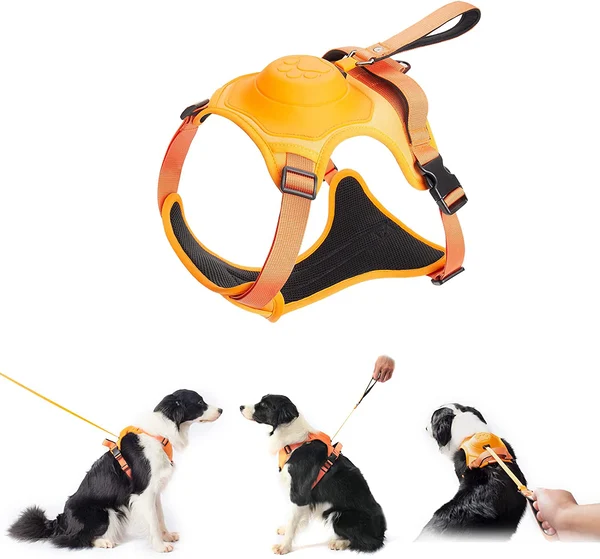 🔥HOT SALE - Dog Harness and Retractable Leash Set All-in-One