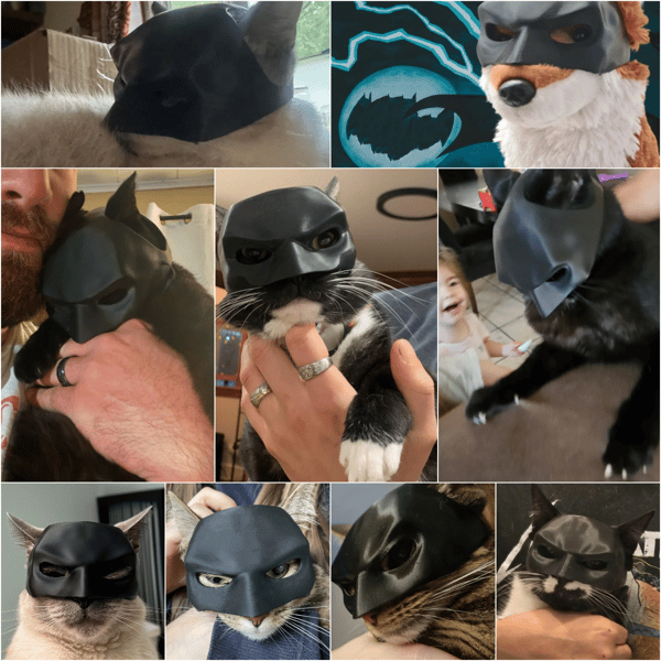 🔥Last day Clearance Sale-50% OFF--Bat Cat Avenger Mask--🔥🔥Buy More Free More!!