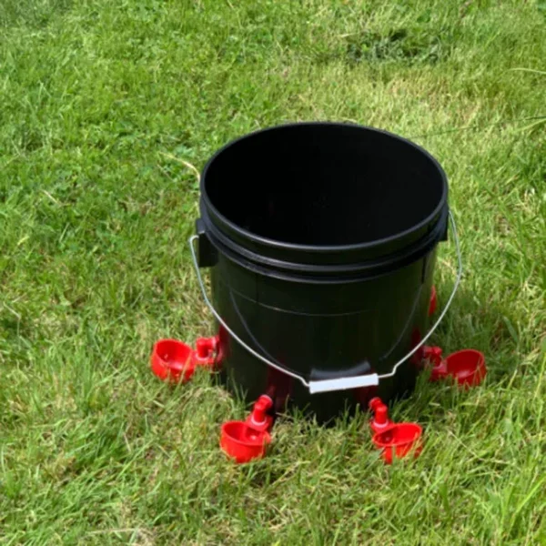 (🔥48% OFF) 6PCS/SET Automatic Chicken Water Cup Waterer Kit-BUY 2 GET 1 FREE