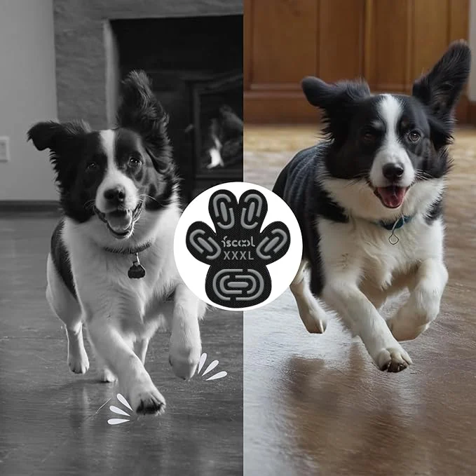 🐾Dog Paw Protector Anti-Slip Pads