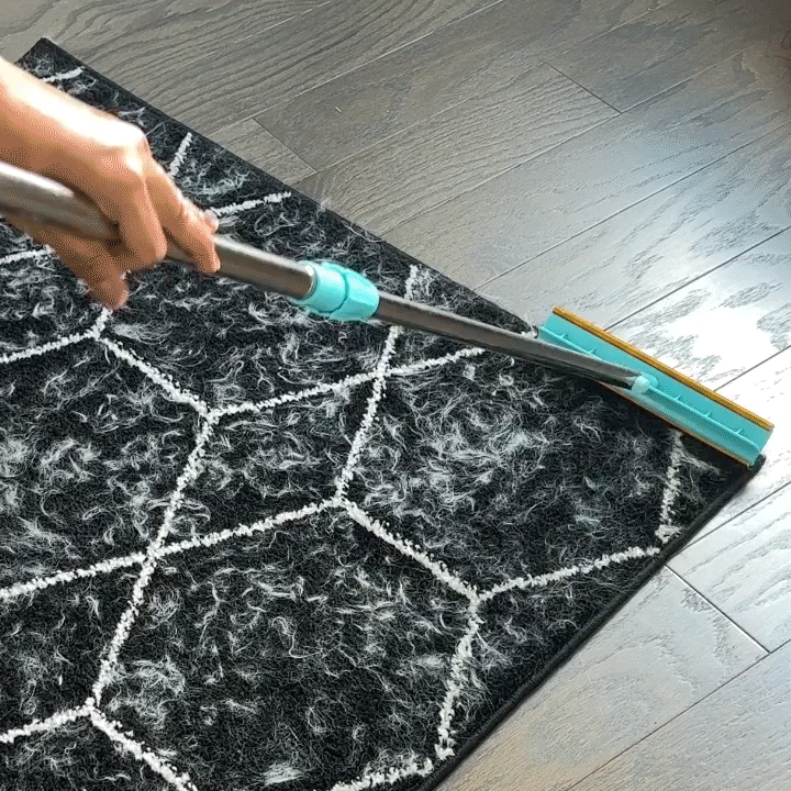 Pet Hair Removal Tool