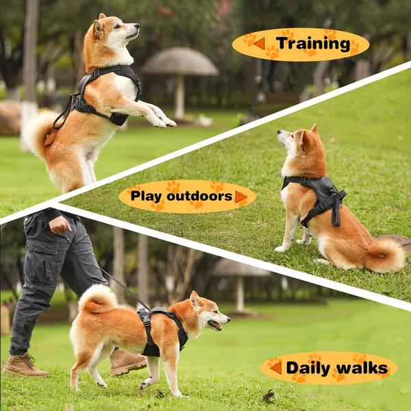 🔥HOT SALE - Dog Harness and Retractable Leash Set All-in-One