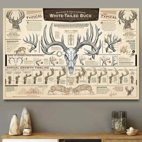 🦌"THE GROWTH AND MATURITY OF THE WHITE-TAILED BUCK"CANVAS PRINTS