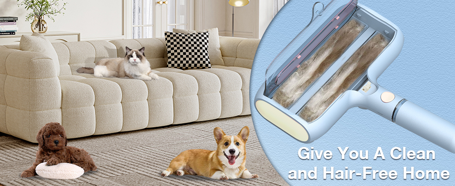 全新升级双滚轮宠物脱毛器，带喷雾功能