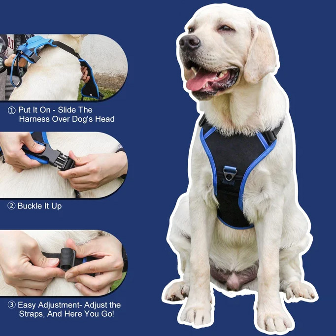 🔥HOT SALE - Dog Harness and Retractable Leash Set All-in-One