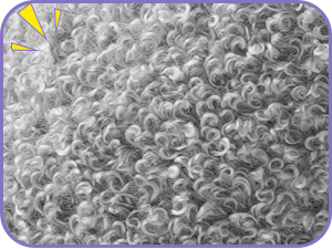 dog pillows for small dogs